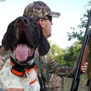 Meet your Posher, Paul